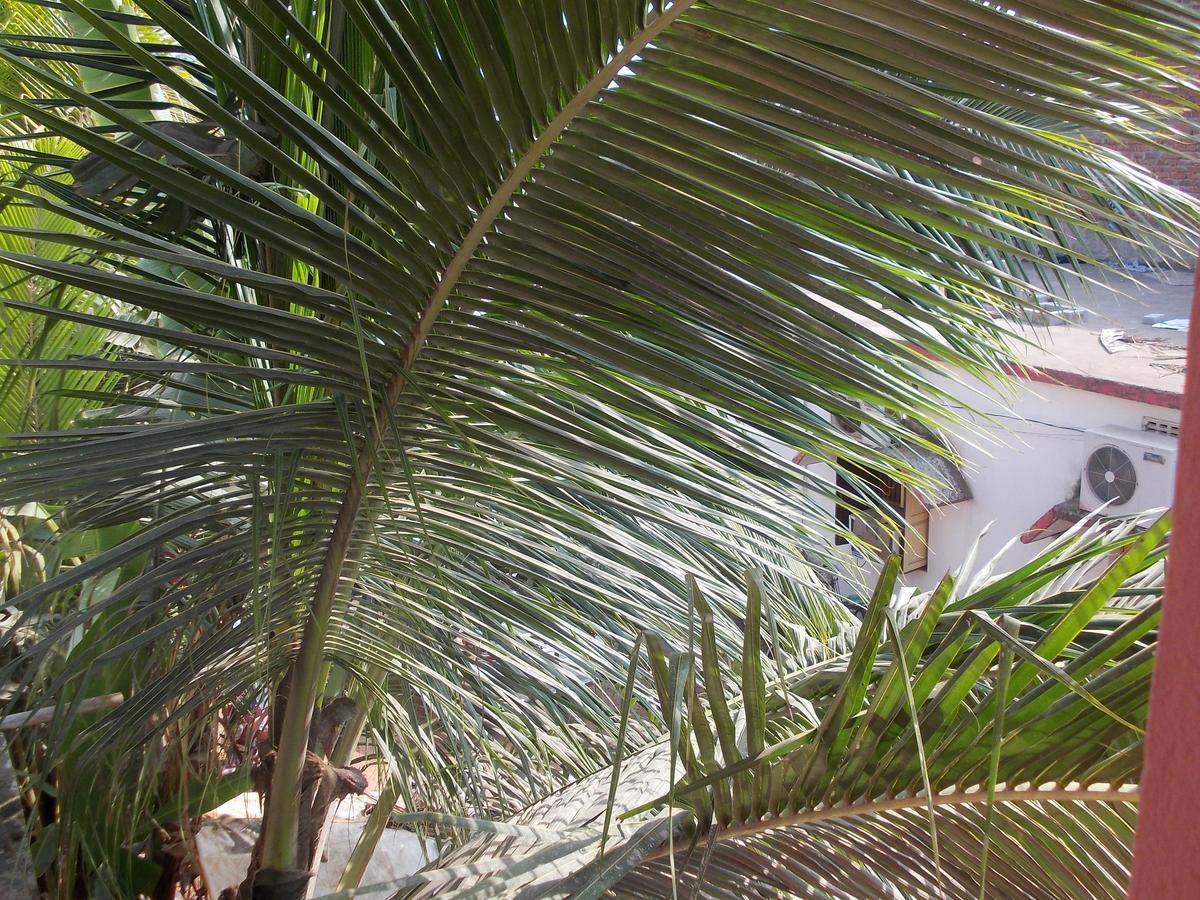 Hotel Sun Plaza-Near Konark Sun Temple- Couple Friendly-Best Choice Of Travellers المظهر الخارجي الصورة